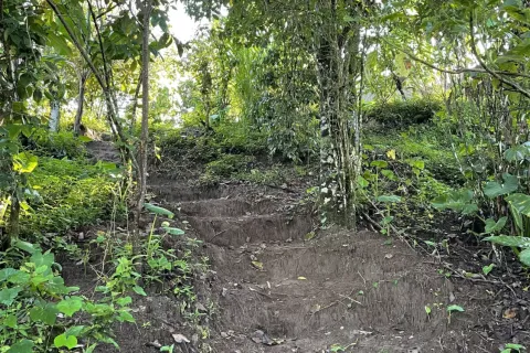 Land in Buleleng, Indonesia No. 10399 2