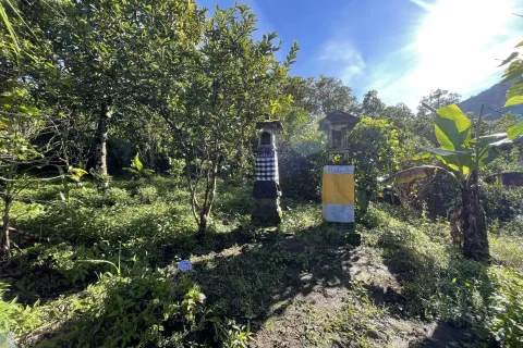 Land in Buleleng, Indonesia No. 10399 3