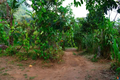Land in Buleleng, Indonesia No. 10399