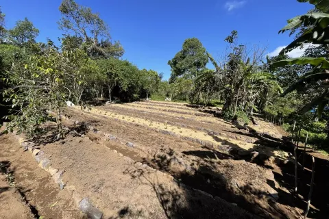 Land in Buleleng, Indonesia No. 10399 16