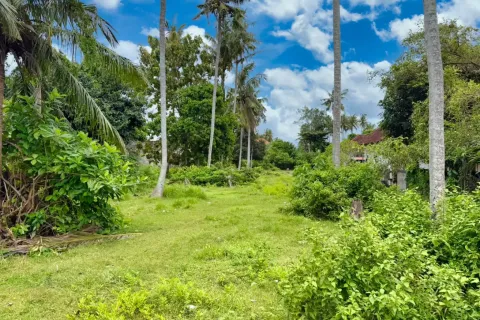 Land in Nusa Penida, Klungkung, Indonesia No. 10397 7