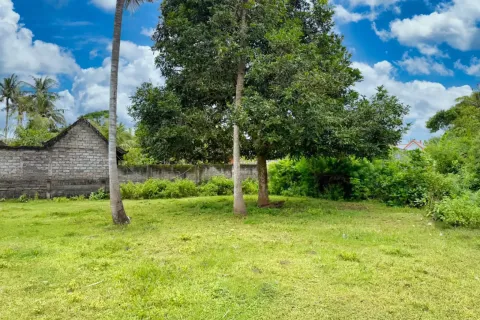 Land in Nusa Penida, Klungkung, Indonesia No. 10397 6