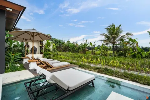 3 bedrooms Villa in Ubud, Gianyar, Indonesia No. 10394 8