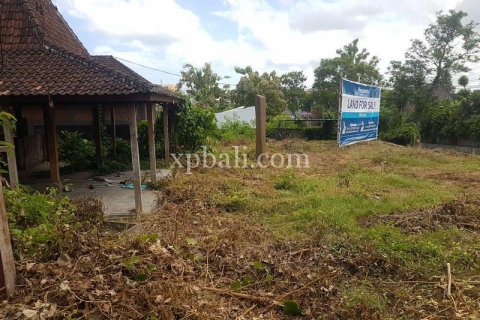 1500m2 Land in Kerobokan, Badung, Indonesia No. 325 5