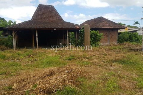 1500m2 Land in Kerobokan, Badung, Indonesia No. 325 4
