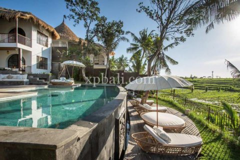 Вилла с 15 спальнями в Canggu, Бадунг, Индонезия № 320 5