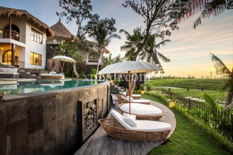 Вилла с 15 спальнями в Canggu, Бадунг, Индонезия № 320 23