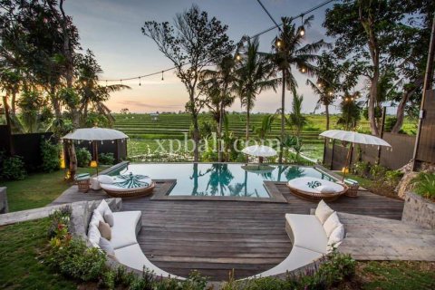 Вилла с 15 спальнями в Canggu, Бадунг, Индонезия № 320 6