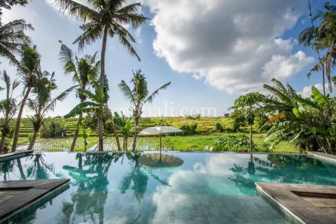 Вилла с 15 спальнями в Canggu, Бадунг, Индонезия № 320 16