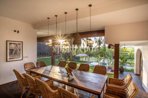 Вилла с 15 спальнями в Canggu, Бадунг, Индонезия № 320 22