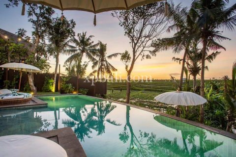 Вилла с 15 спальнями в Canggu, Бадунг, Индонезия № 320 8