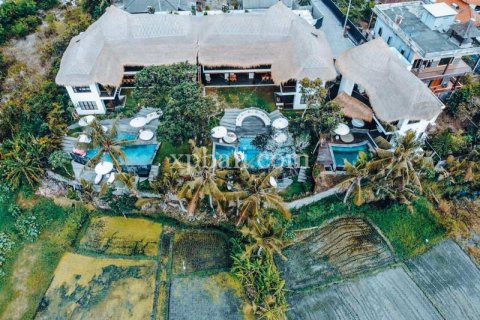 15 bedrooms Villa in Canggu, Badung, Indonesia No. 320