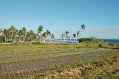 8400m2 Land in Tabanan, Indonesia No. 324