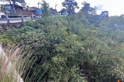 Land in Indonesia No. 11133 6