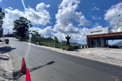 Land in Indonesia No. 11133 3
