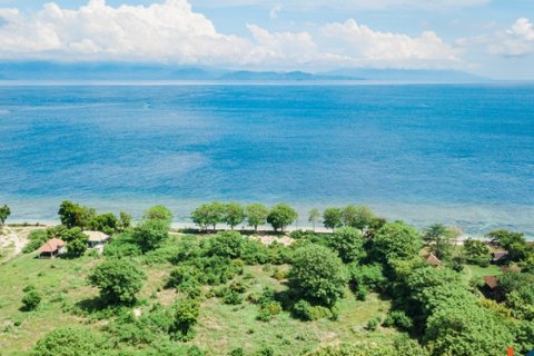 Земельный участок в Индонезии № 11134 3
