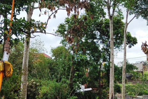 700m2 Land in Canggu, Badung, Indonesia No. 11139 3
