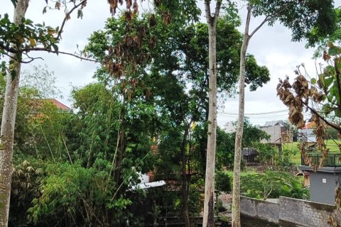 700m2 Land in Canggu, Badung, Indonesia No. 11139 2