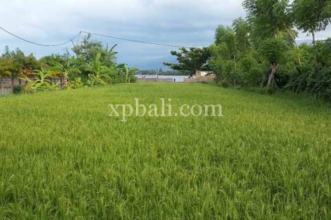 2000m2 Land in Lovina, Anturan, Buleleng, Indonesia No. 7940 2