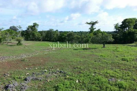5235m2 Land in South Kuta, Badung, Indonesia No. 7938
