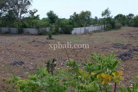 5235m2 Land in South Kuta, Badung, Indonesia No. 7938 2