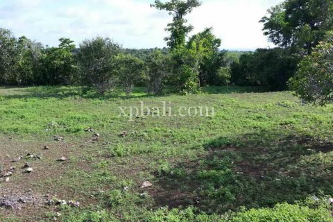 5235m2 Land in South Kuta, Badung, Indonesia No. 7938 5