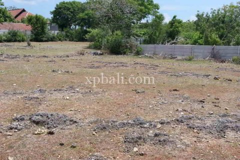 5235m2 Land in South Kuta, Badung, Indonesia No. 7938 3