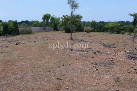 5235m2 Land in South Kuta, Badung, Indonesia No. 7938 4