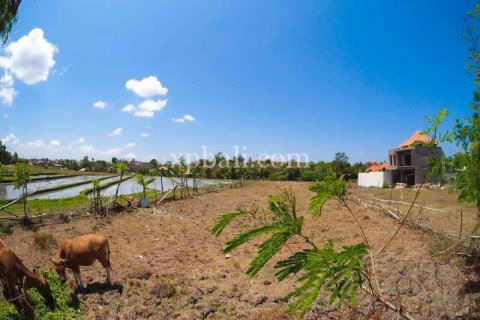 2165m2 Land in Tampaksiring, Gianyar, Indonesia No. 7936 5
