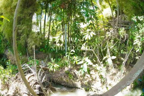 2165m2 Land in Tampaksiring, Gianyar, Indonesia No. 7936 3