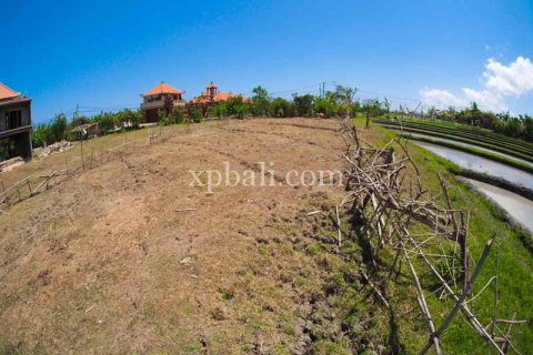 2165m2 Land in Tampaksiring, Gianyar, Indonesia No. 7936 2