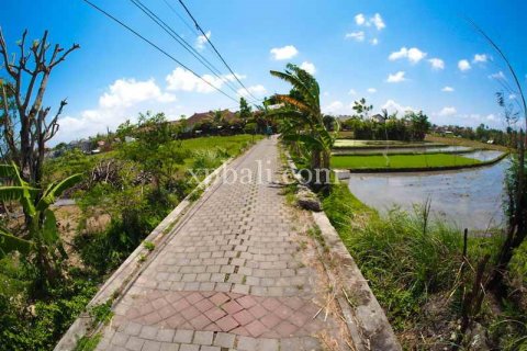 2165m2 Land in Tampaksiring, Gianyar, Indonesia No. 7936
