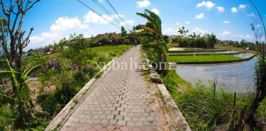 2165m2 Land in Tampaksiring, Gianyar, Indonesia No. 7936