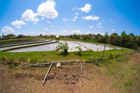 2165m2 Land in Tampaksiring, Gianyar, Indonesia No. 7936 4