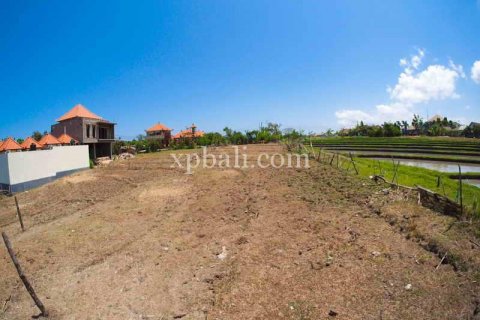 2165m2 Land in Tampaksiring, Gianyar, Indonesia No. 7936 7