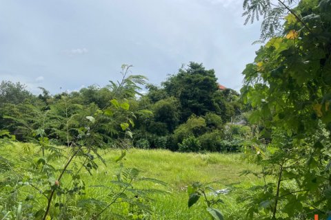 Land in Pererenan, Mengwi, Badung, Indonesia No. 11356