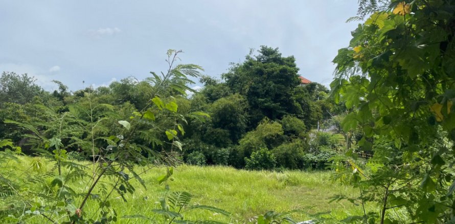 Land in Pererenan, Mengwi, Badung, Indonesia No. 11356