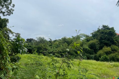 Land in Pererenan, Mengwi, Badung, Indonesia No. 11356 2