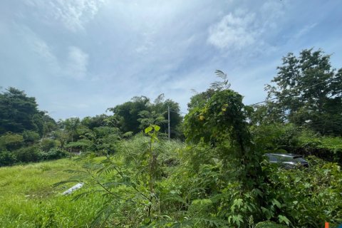 Land in Pererenan, Mengwi, Badung, Indonesia No. 11356 5