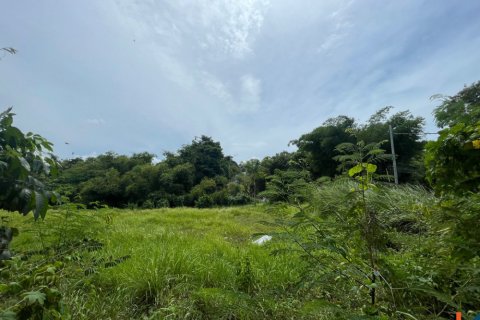 Land in Pererenan, Mengwi, Badung, Indonesia No. 11356 4