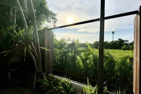 Вилла с 2 спальнями в Seminyak, Бадунг, Индонезия № 8609 13