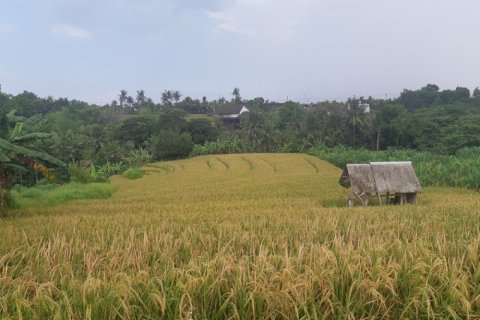 Land in Tabanan, Indonesia No. 11690