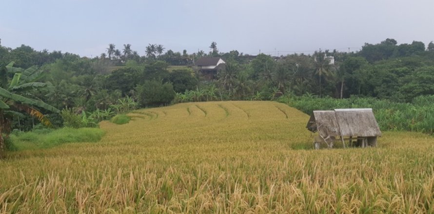 Land in Tabanan, Indonesia No. 11690