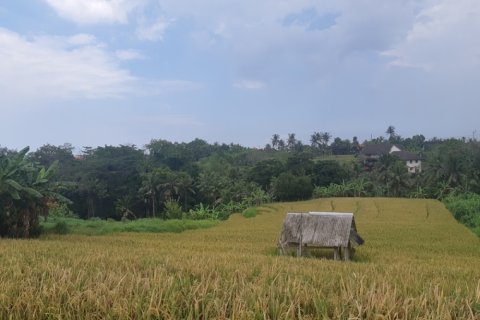 Land in Tabanan, Indonesia No. 11690 4