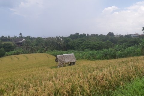 Land in Tabanan, Indonesia No. 11690 2