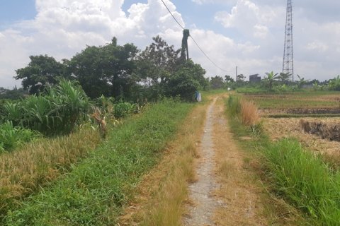 Land in Tabanan, Indonesia No. 11690 3