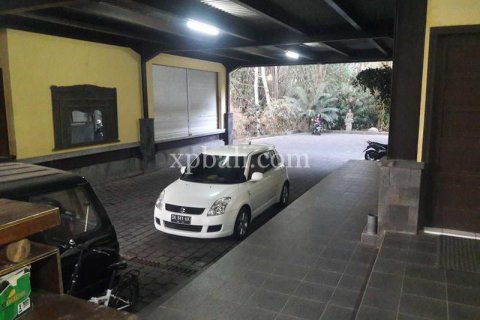 1504m2 Villa in Gianyar, Indonesia No. 339 9