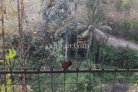 1504m2 Villa in Gianyar, Indonesia No. 339 4