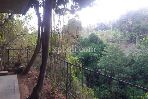 1504m2 Villa in Gianyar, Indonesia No. 339 3