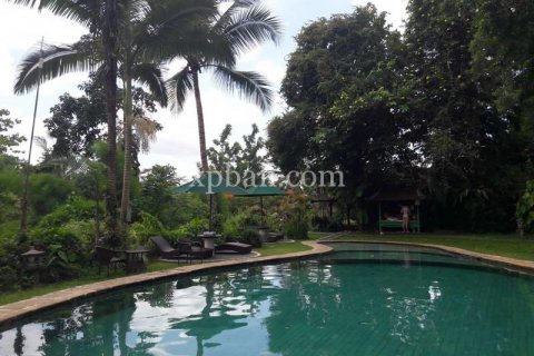 6470m2 Land in Ubud, Gianyar, Indonesia No. 340